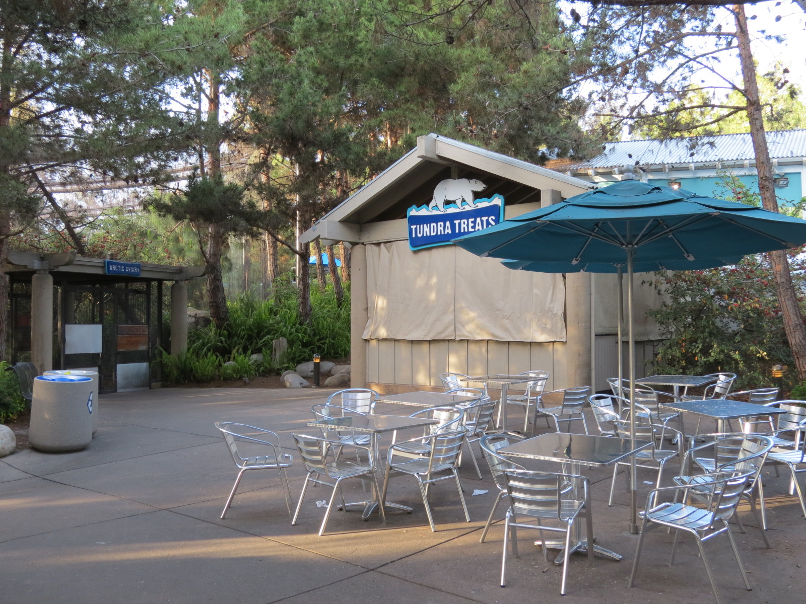 Northern Frontier - Polar Bear Plunge - Arctic Treats