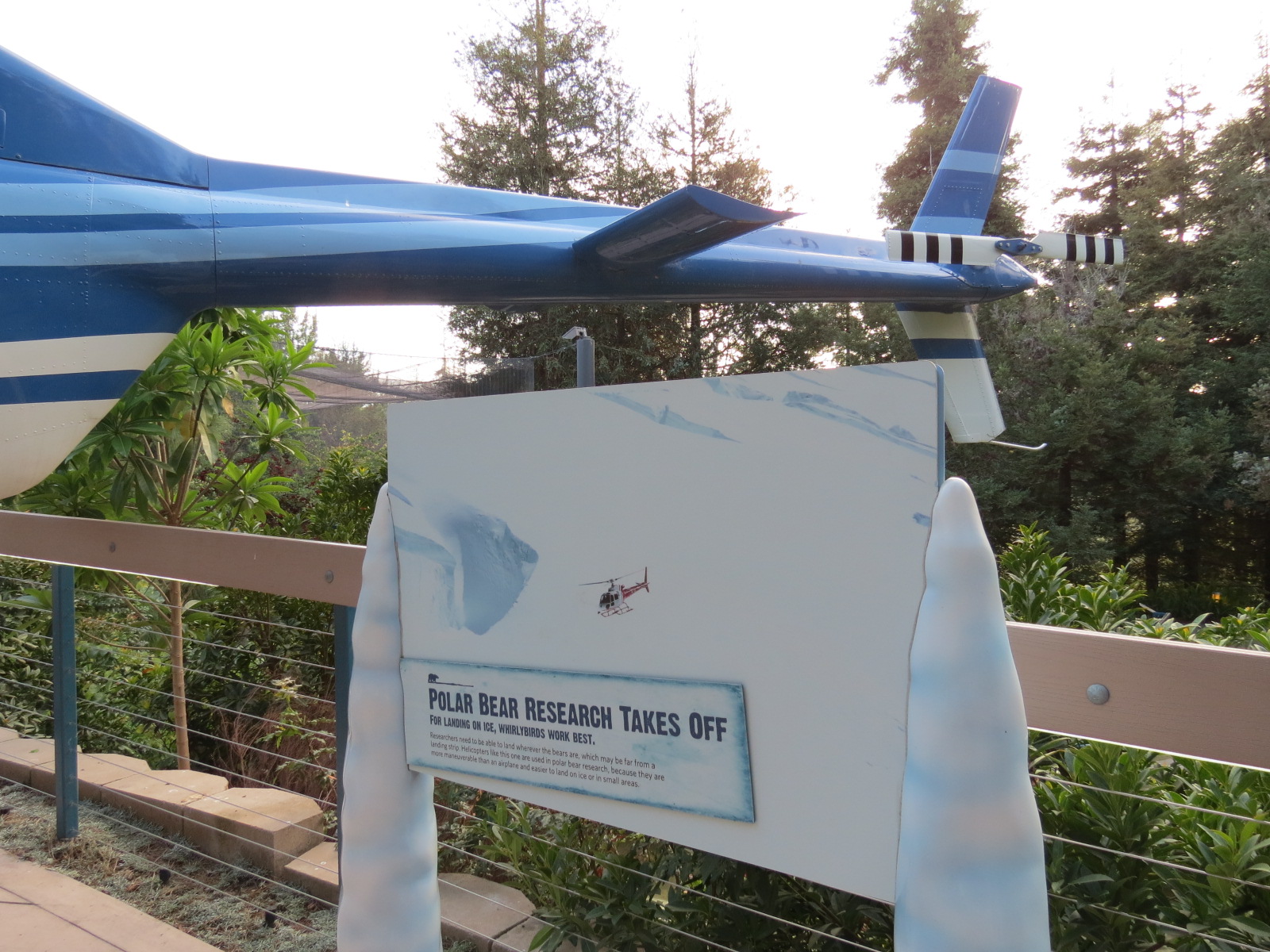 Northern Frontier - Polar Bear Plunge - Helicopter