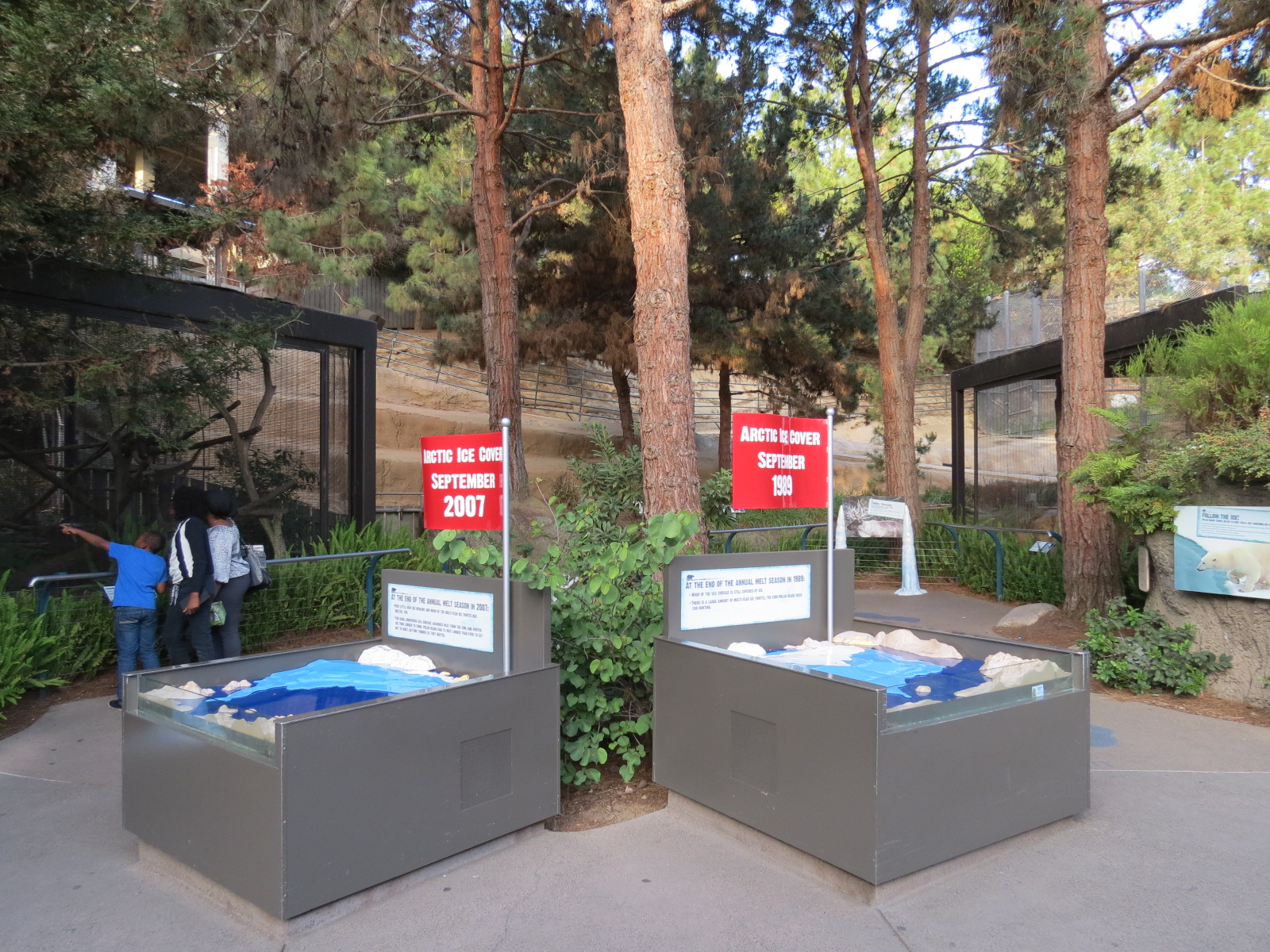 Northern Frontier - Polar Bear Plunge - Ice Melt Interpretives