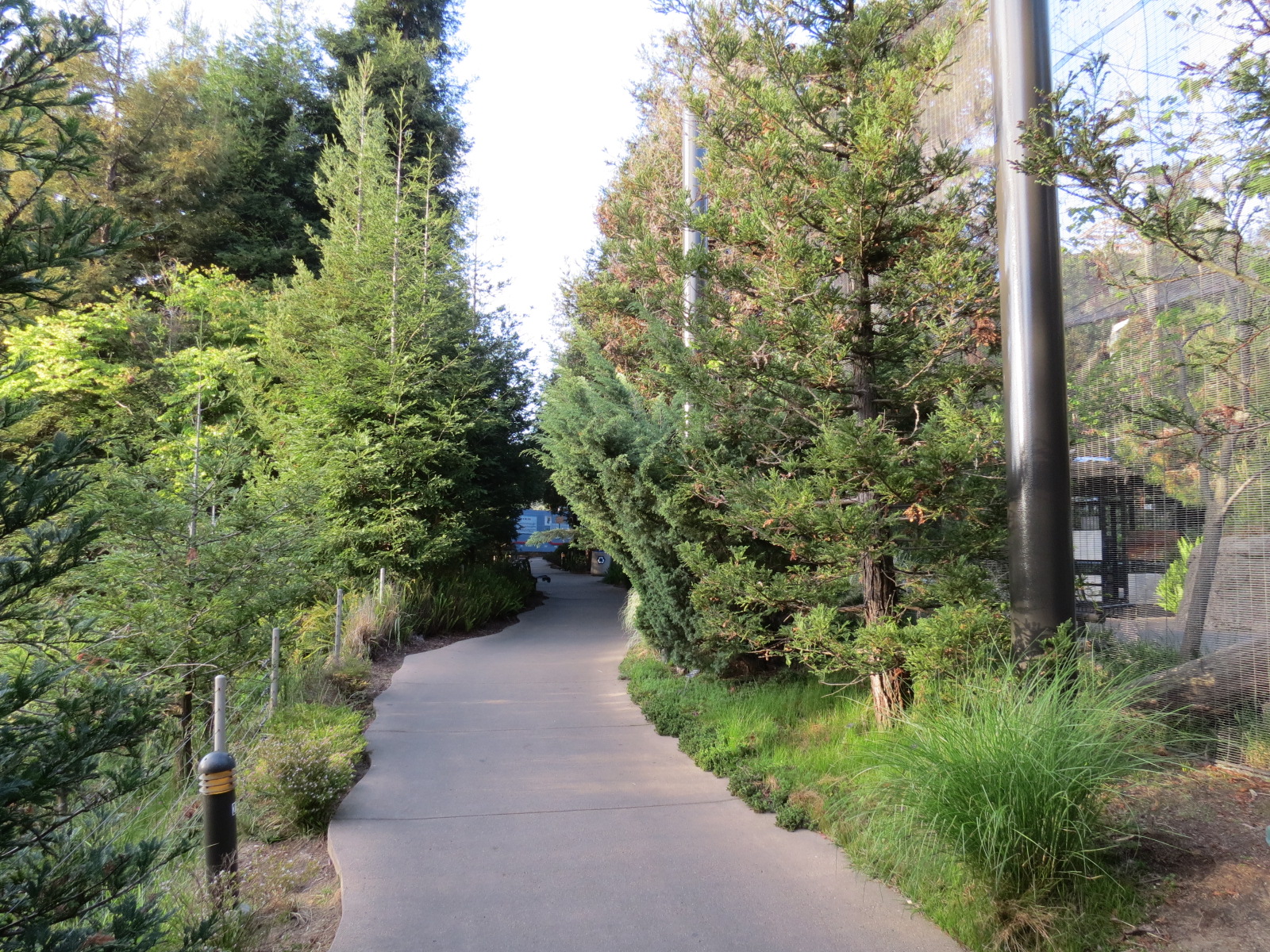 Northern Frontier - Polar Bear Plunge - Path