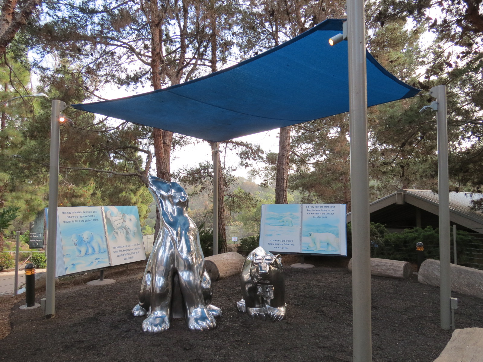 Northern Frontier - Polar Bear Plunge - Play Area