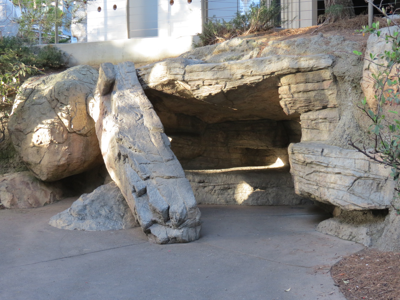 Northern Frontier - Polar Bear Plunge - Play Cave