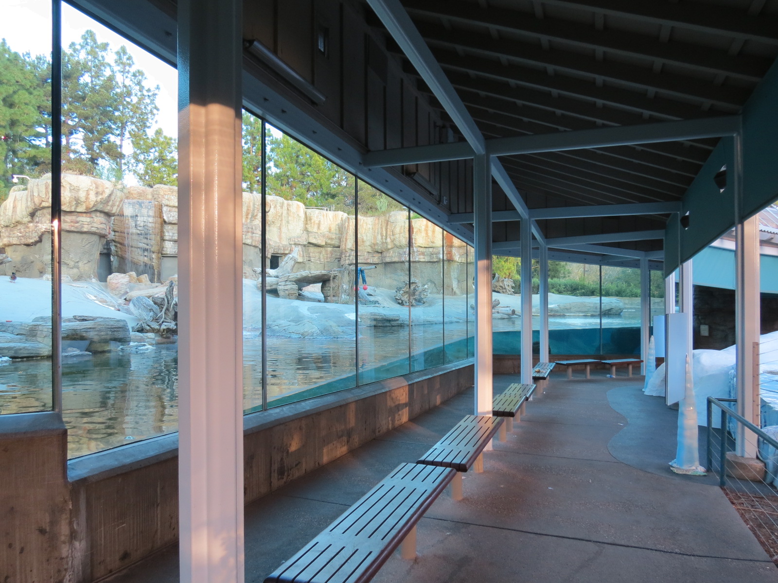 Northern Frontier - Polar Bear Plunge - Polar Bear Exhibit