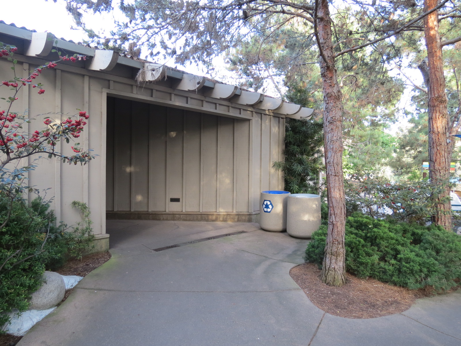 Northern Frontier - Polar Bear Plunge - Polar Bear Exhibit