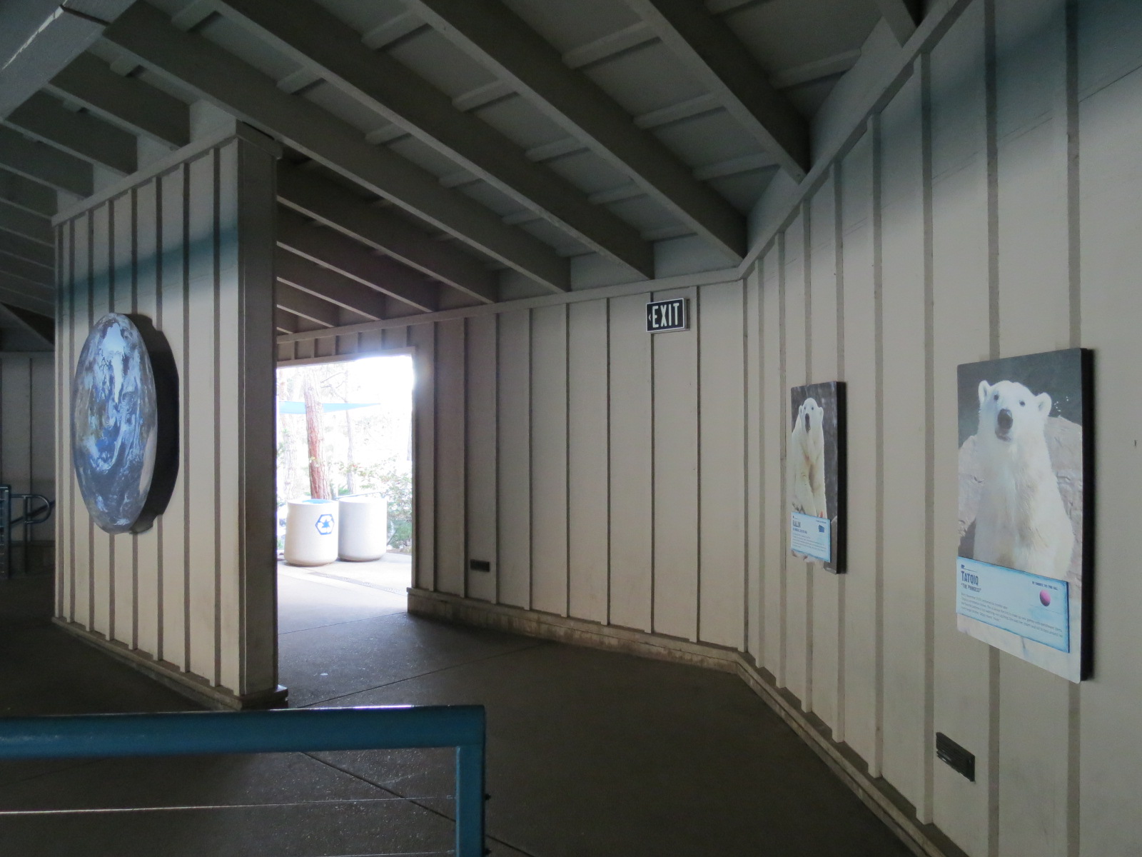 Northern Frontier - Polar Bear Plunge - Polar Bear Exhibit