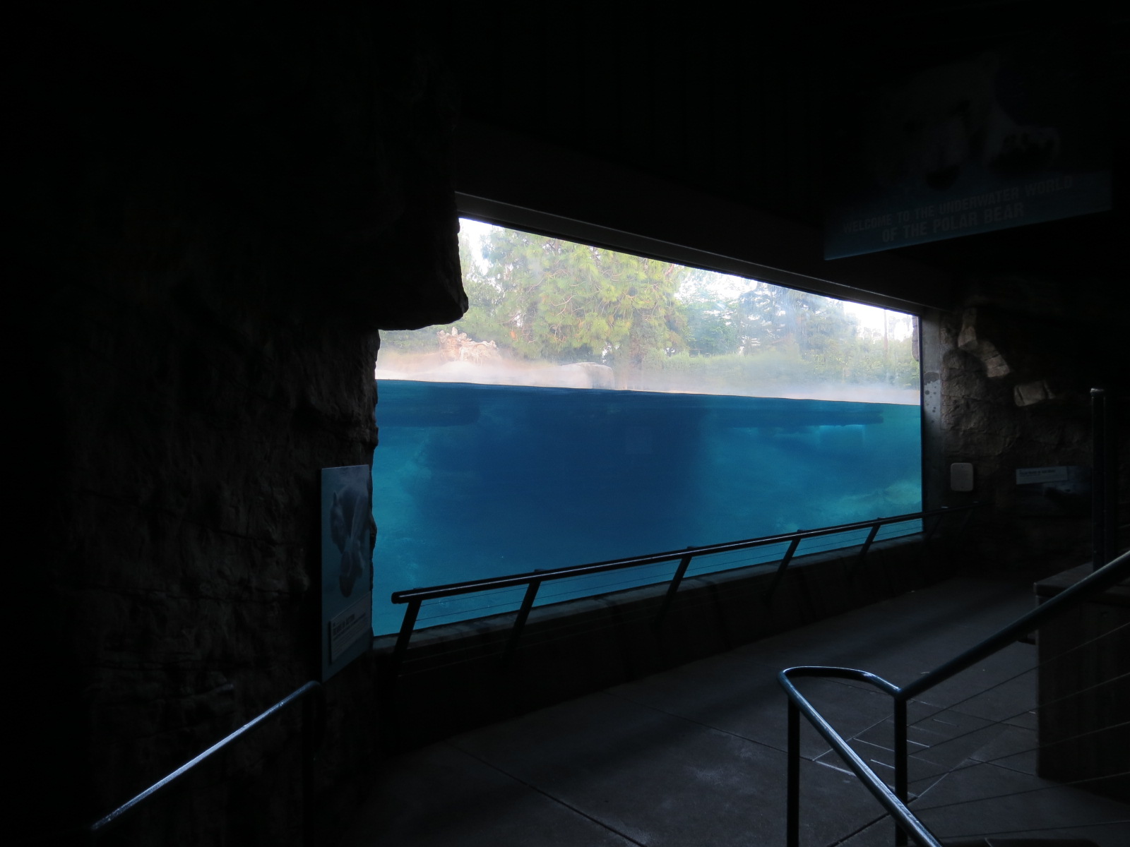 Northern Frontier - Polar Bear Plunge - Polar Bear Exhibit