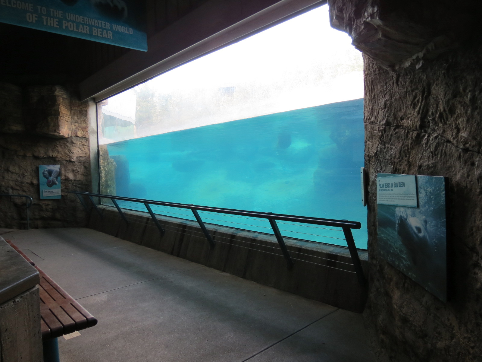 Northern Frontier - Polar Bear Plunge - Polar Bear Exhibit