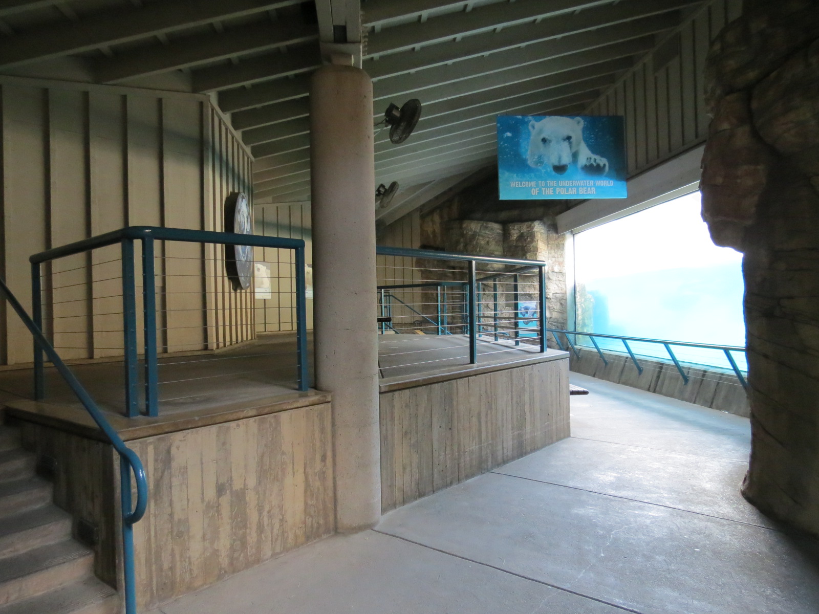 Northern Frontier - Polar Bear Plunge - Polar Bear Exhibit