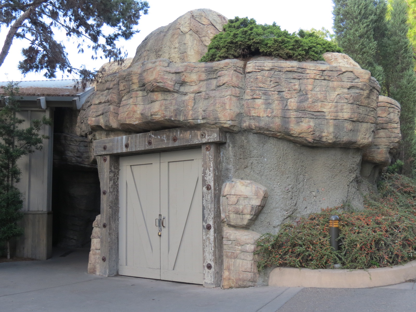Northern Frontier - Polar Bear Plunge - Polar Bear Exhibit
