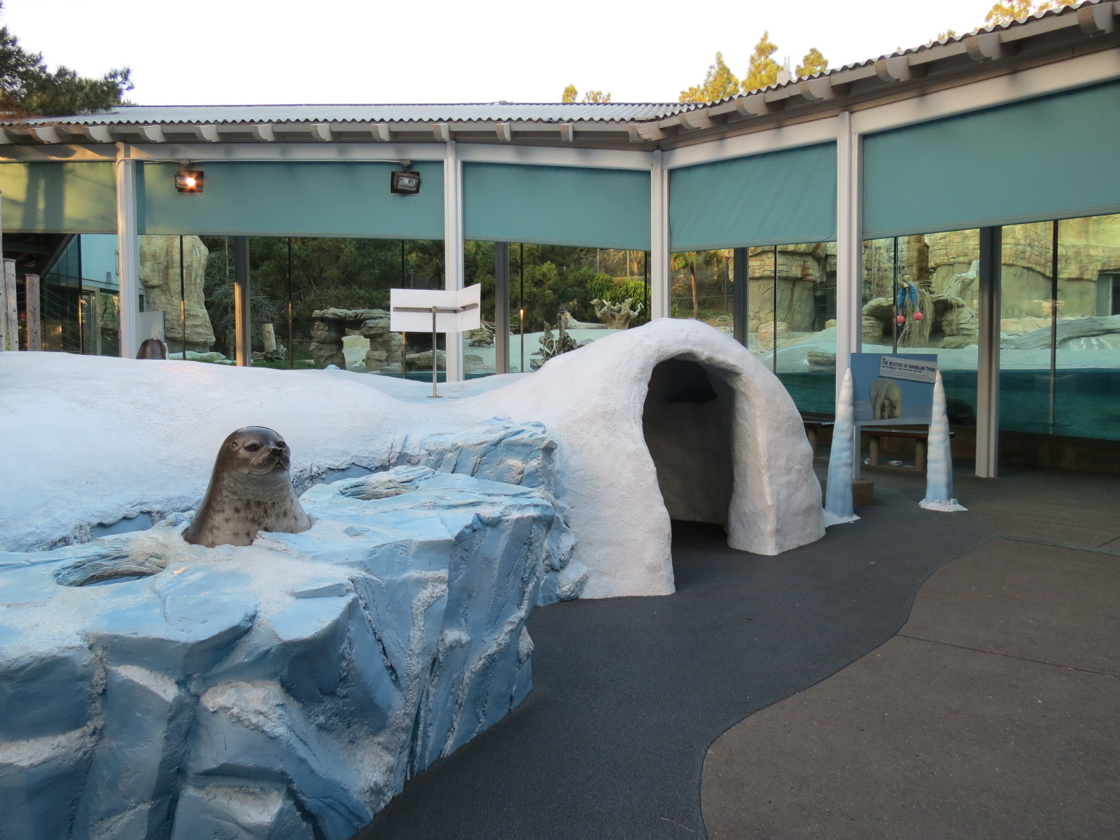 Northern Frontier - Polar Bear Plunge - Polar Bear Interpretive Play Area