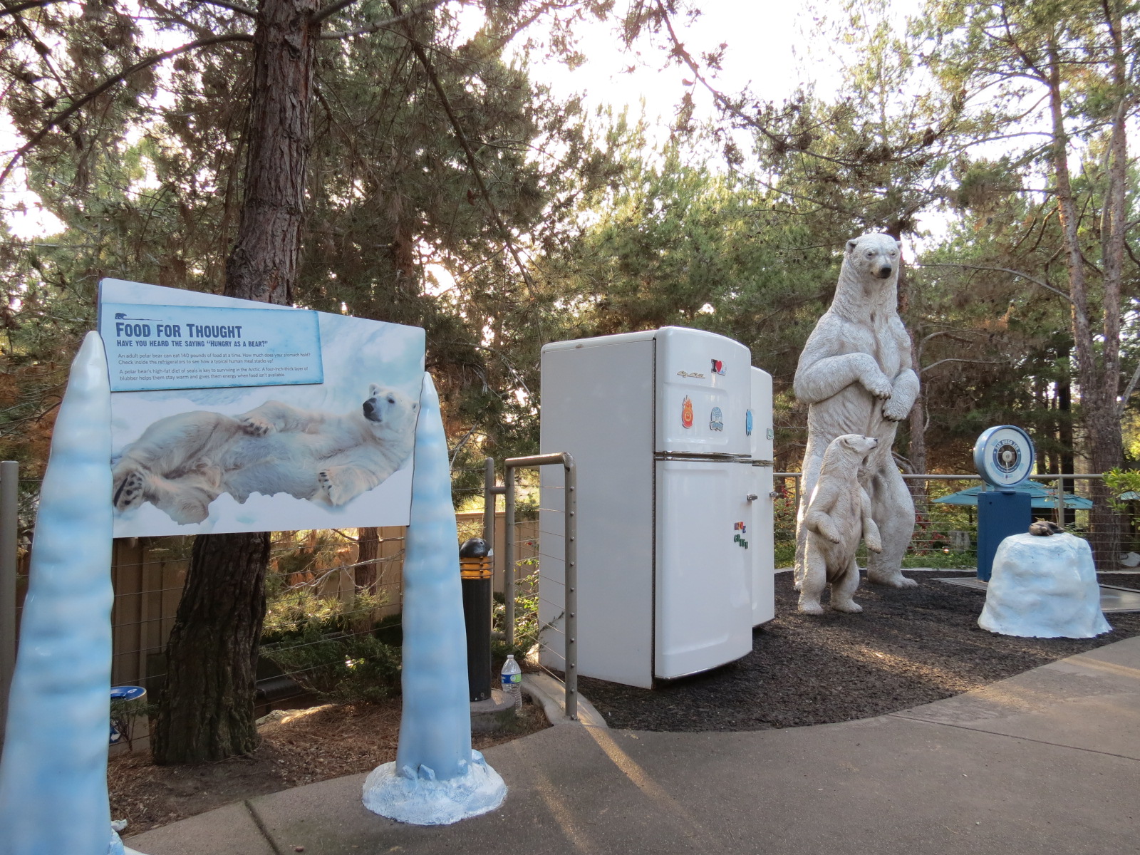 Northern Frontier - Polar Bear Plunge - Polar Bear Interpretive Play Area