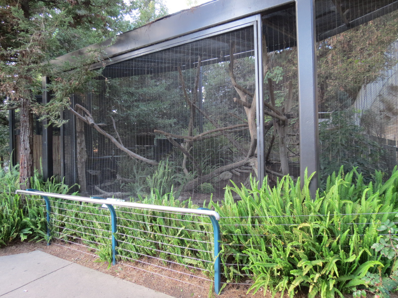 Northern Frontier - Polar Bear Plunge - Raccoon Exhibit
