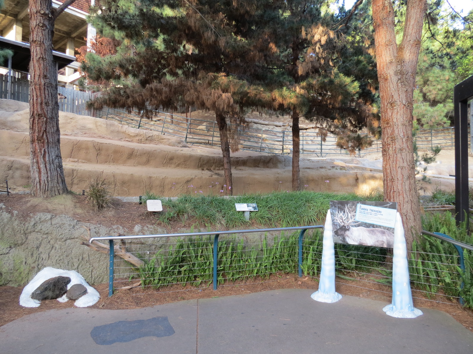 Northern Frontier - Polar Bear Plunge - Siberian Reindeer Exhibit
