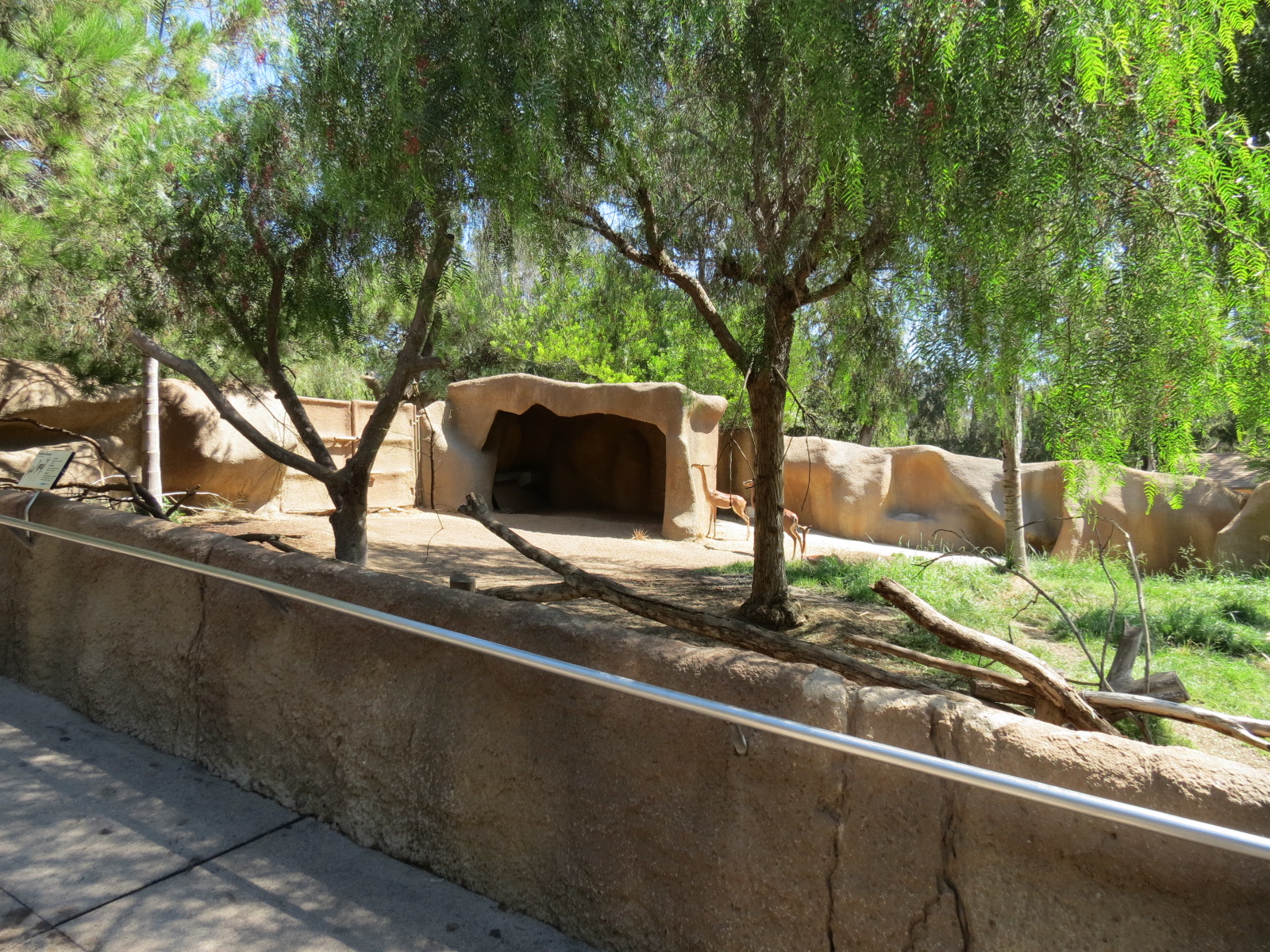 Northern Frontier - Southern Gerenuk Exhibit
