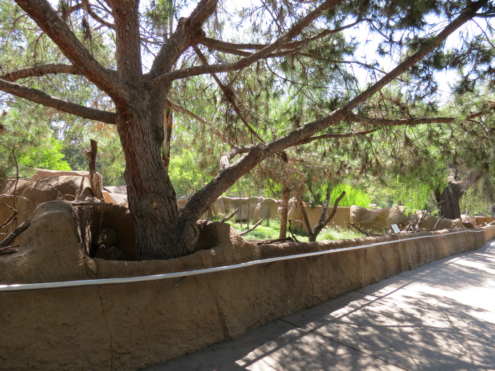 Northern Frontier - Southern Gerenuk Exhibit