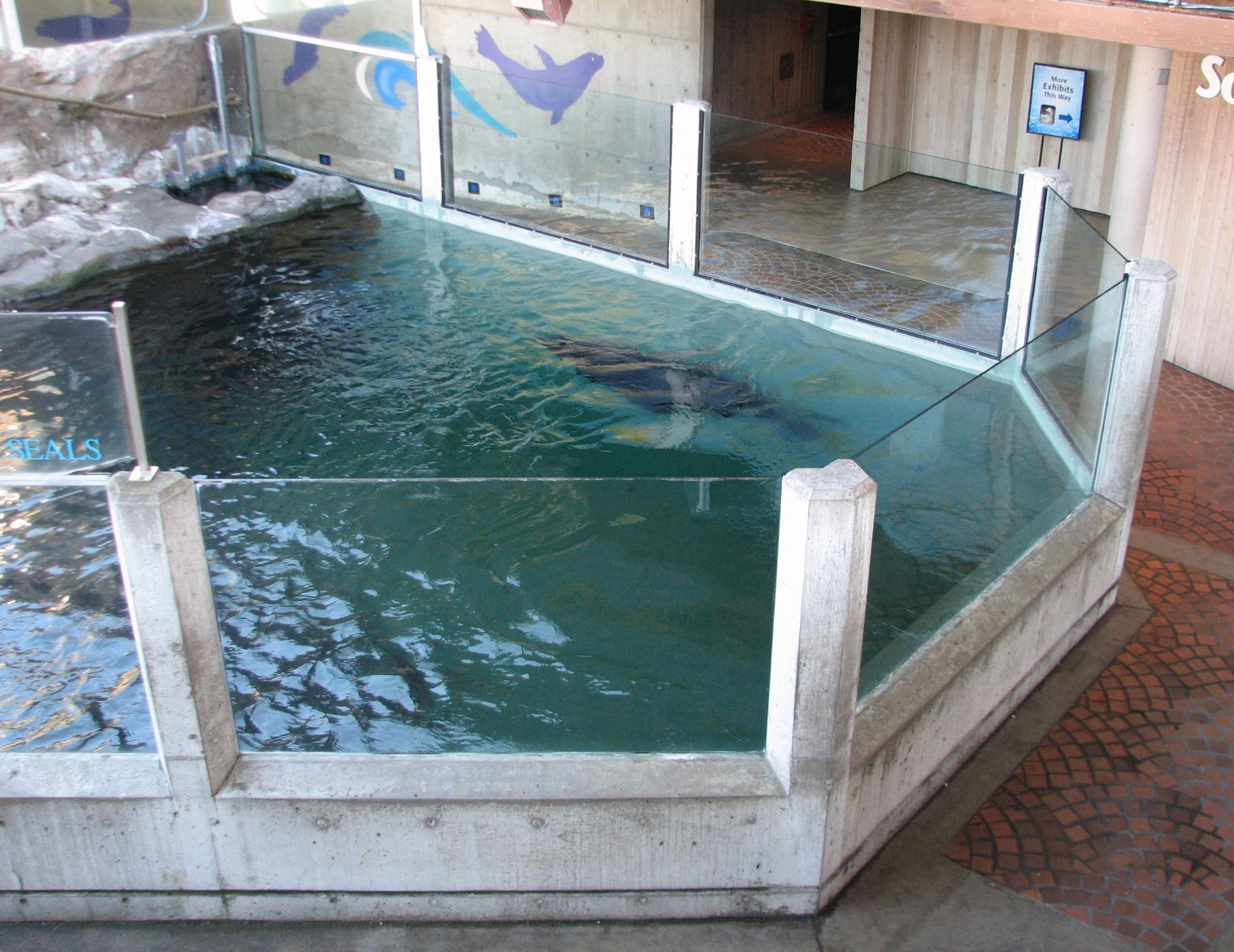 Northern Fur Seal Exhibit