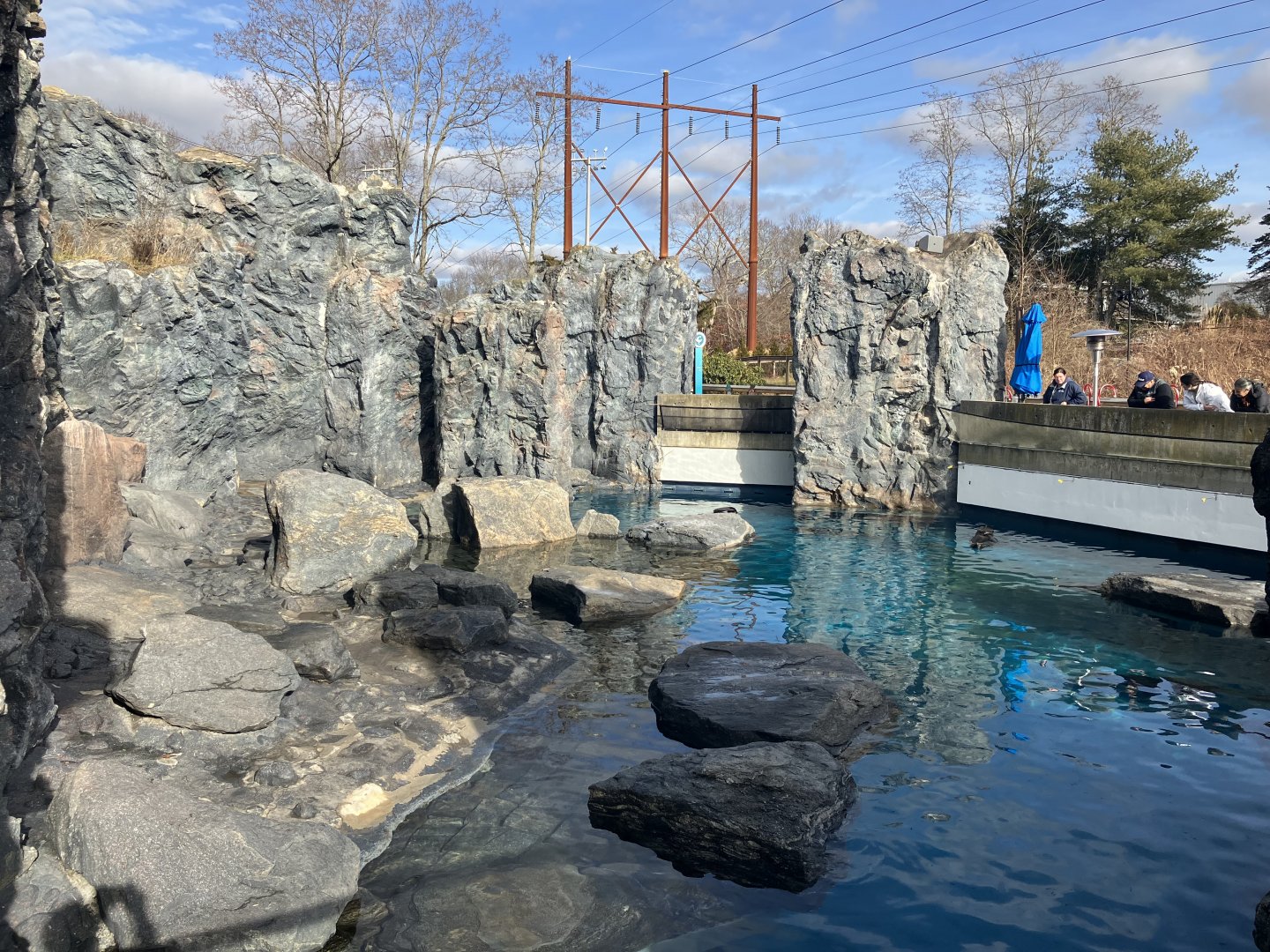 Northern Fur Seal/Spotted Seal/Harbor Seal Exhibit