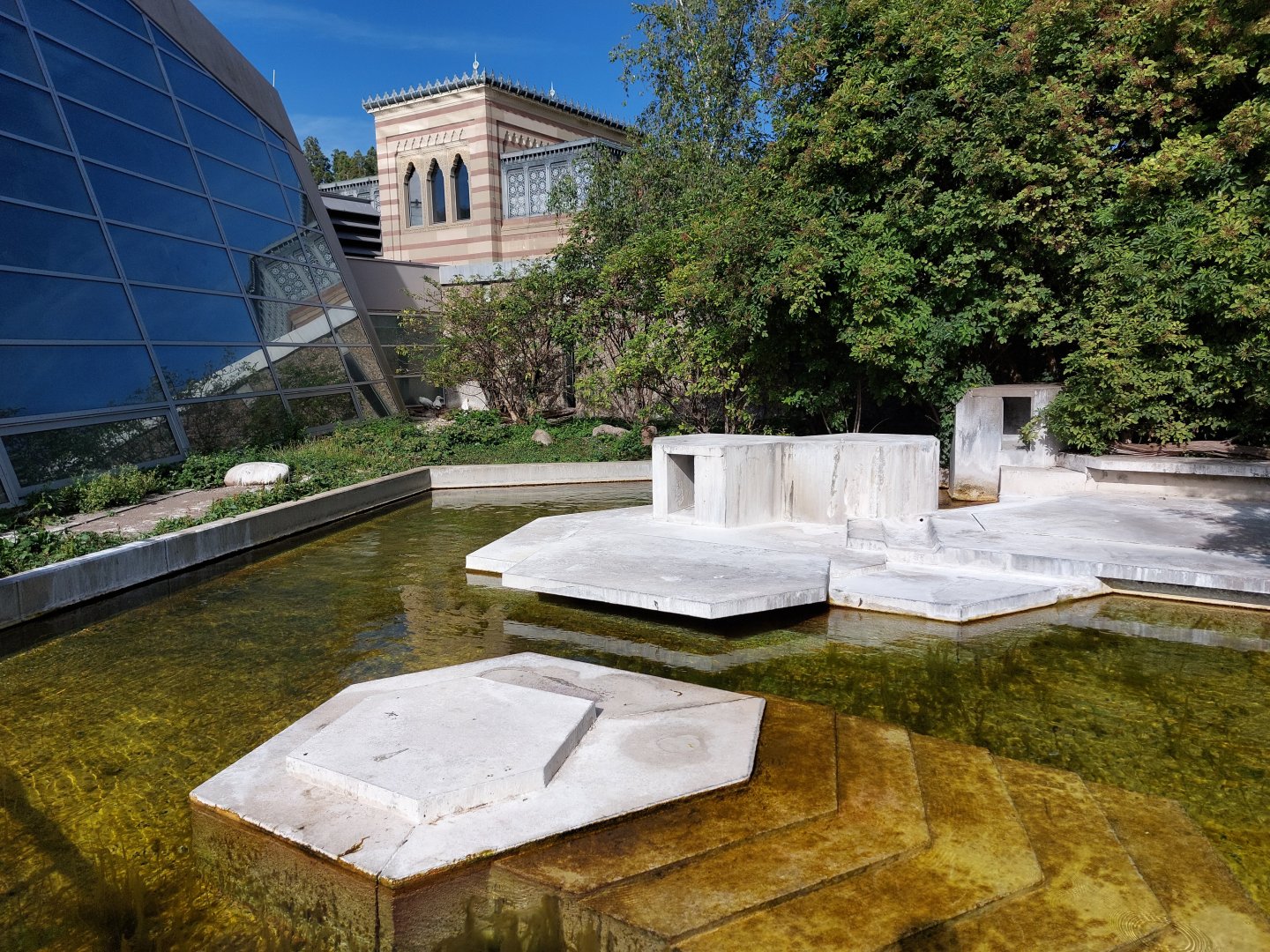 Northern gannet enclosure