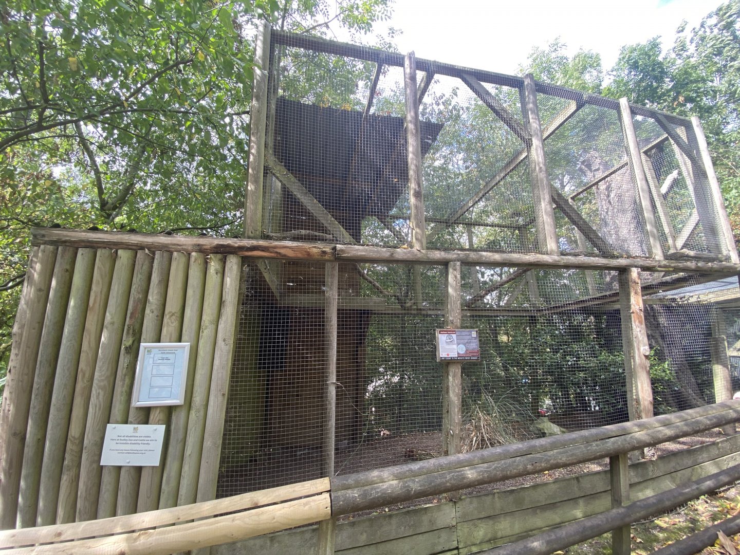 Northern hawk owl aviary