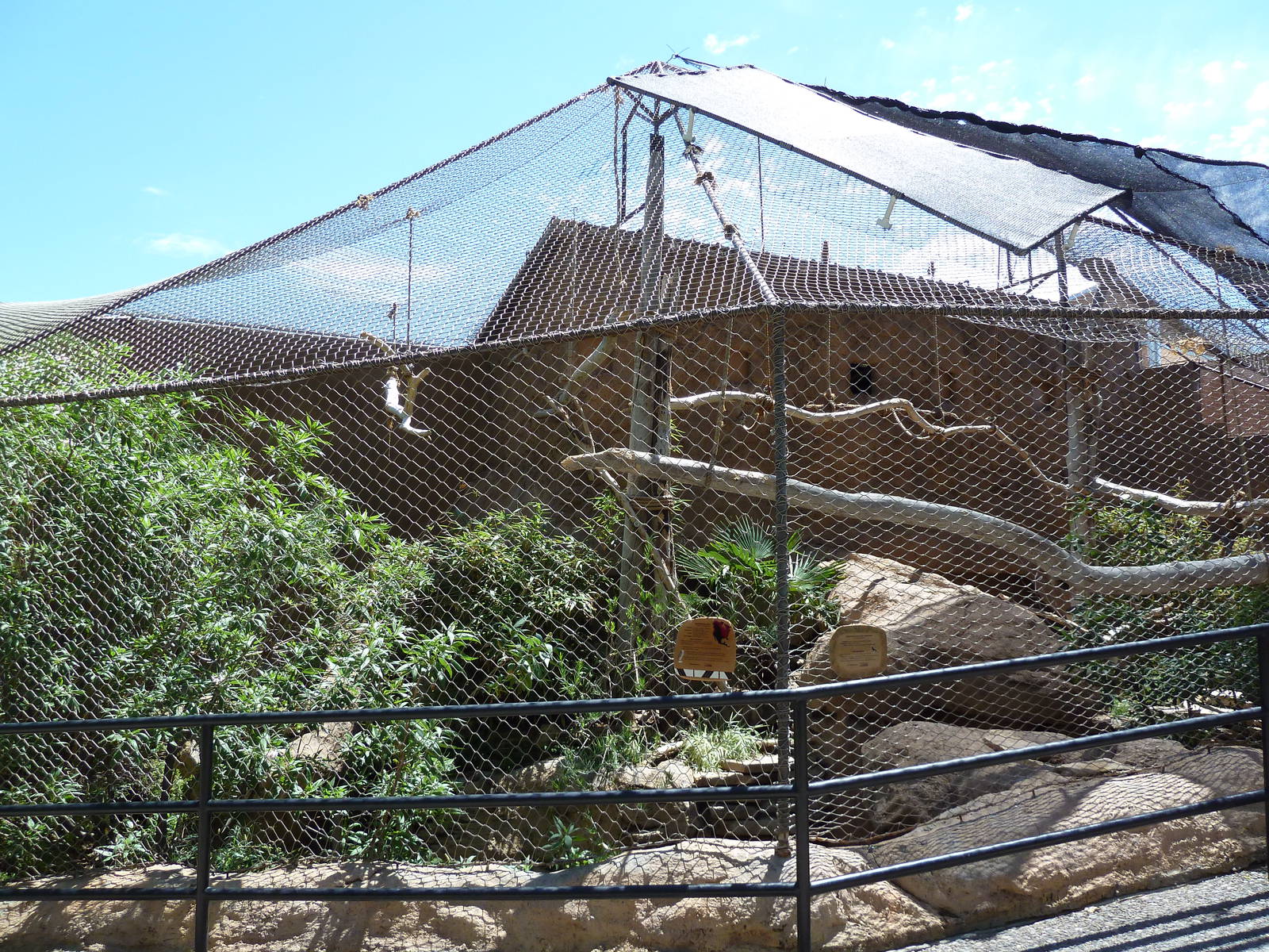 Northern Helmeted Curassow/Burrowing Owl Exhibit