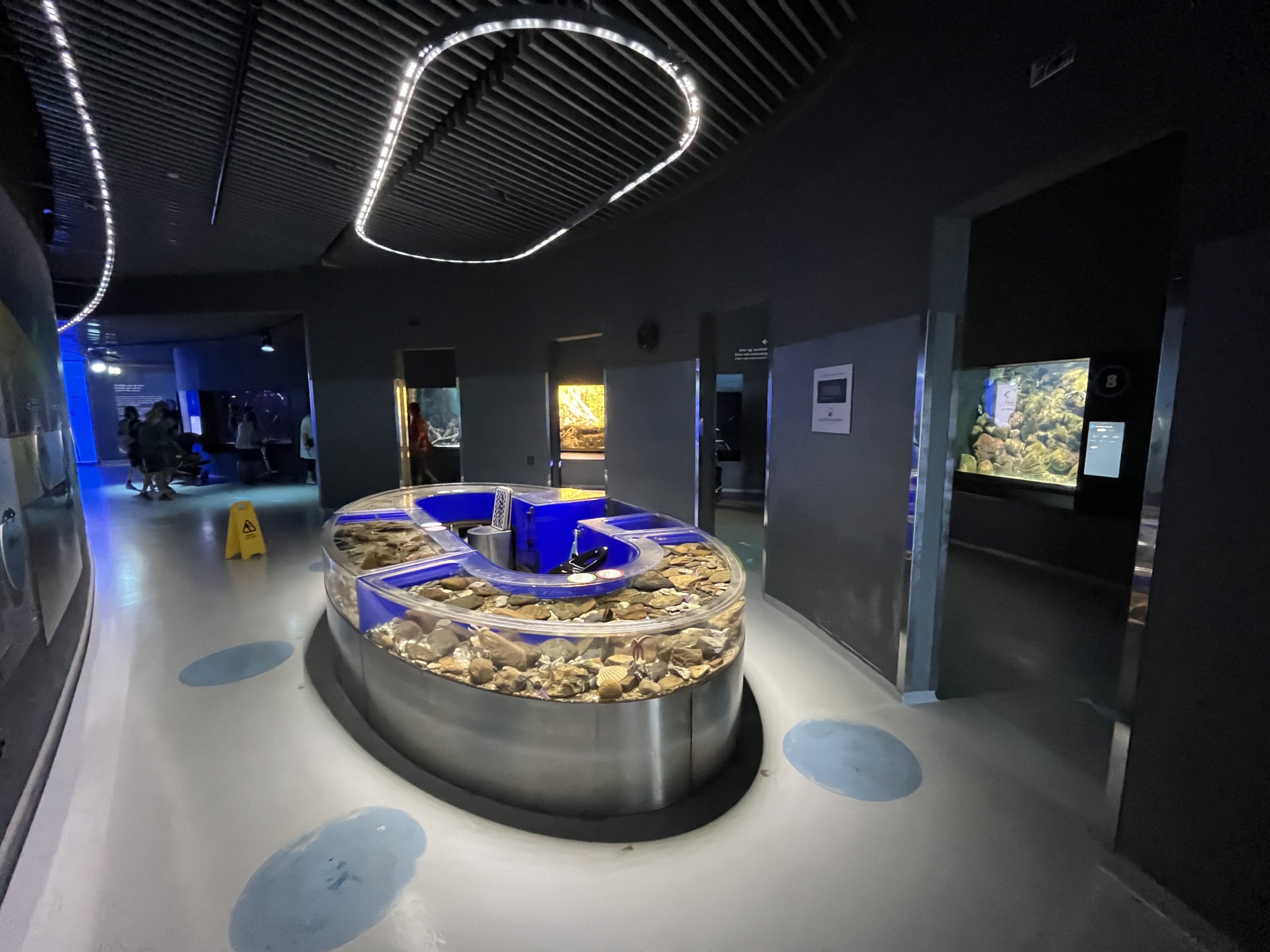 Northern Lakes and Seas