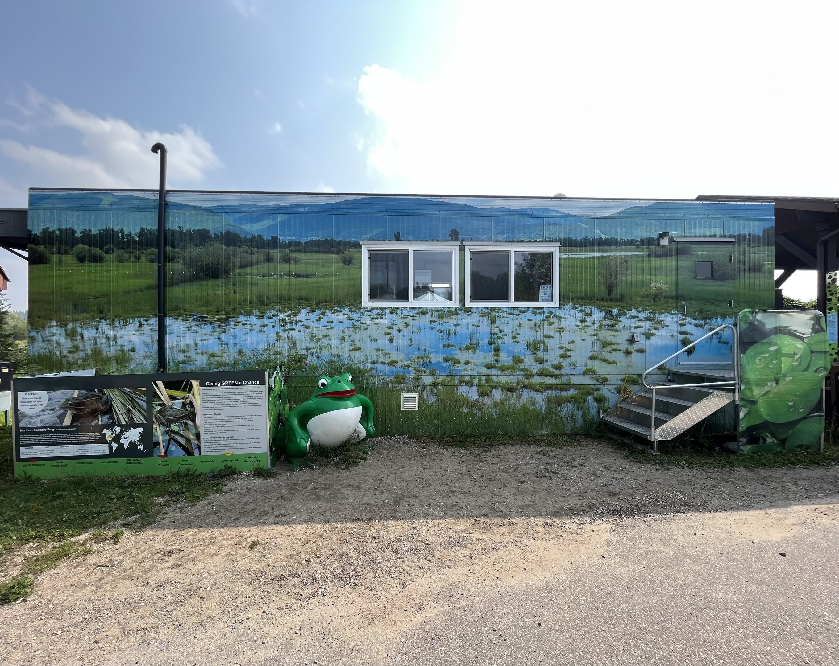 Northern Leopard Frog Building