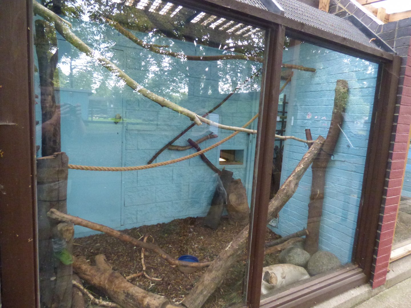 Northern Luzon Cloud Rat Enclosure