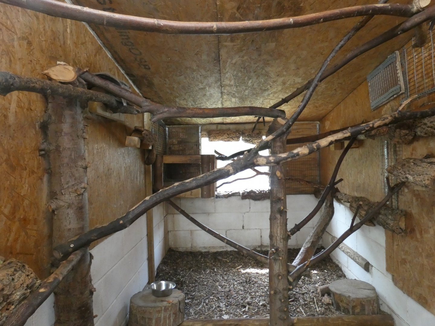 Northern Luzon Cloud Rat enclosure