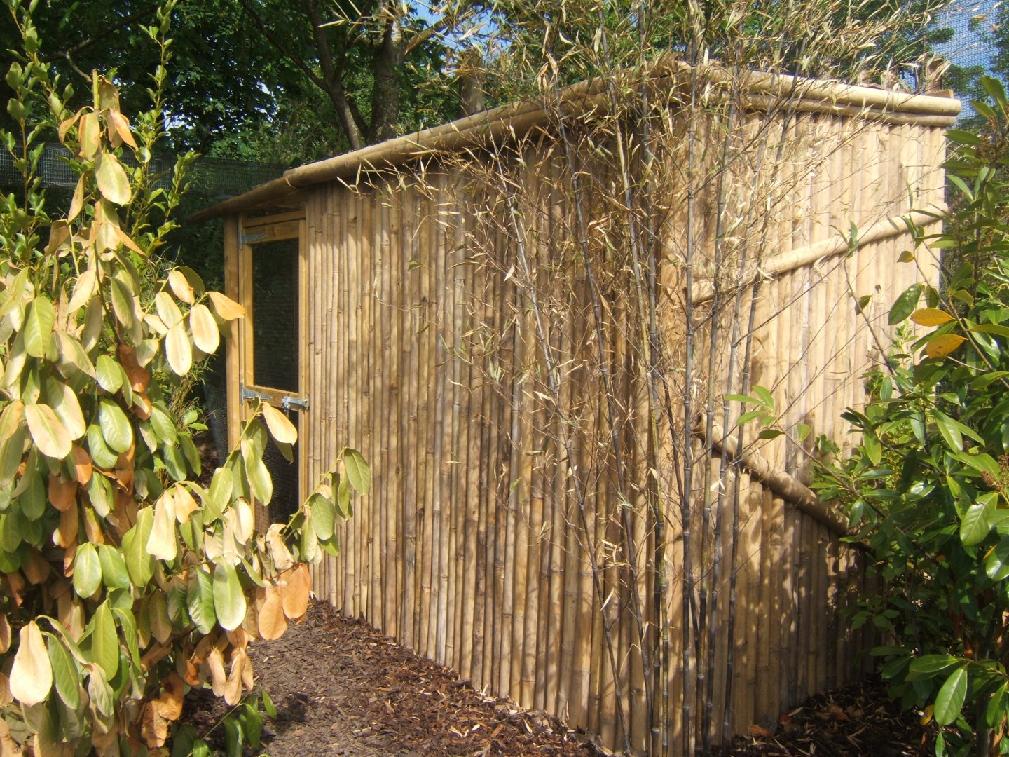 Northern Luzon Cloud Rat housing  20/05/2018