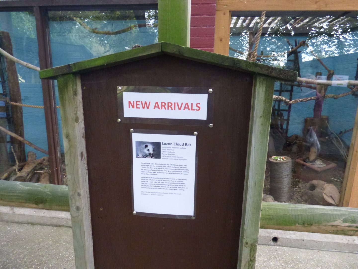 Northern Luzon Cloud Rat Signage