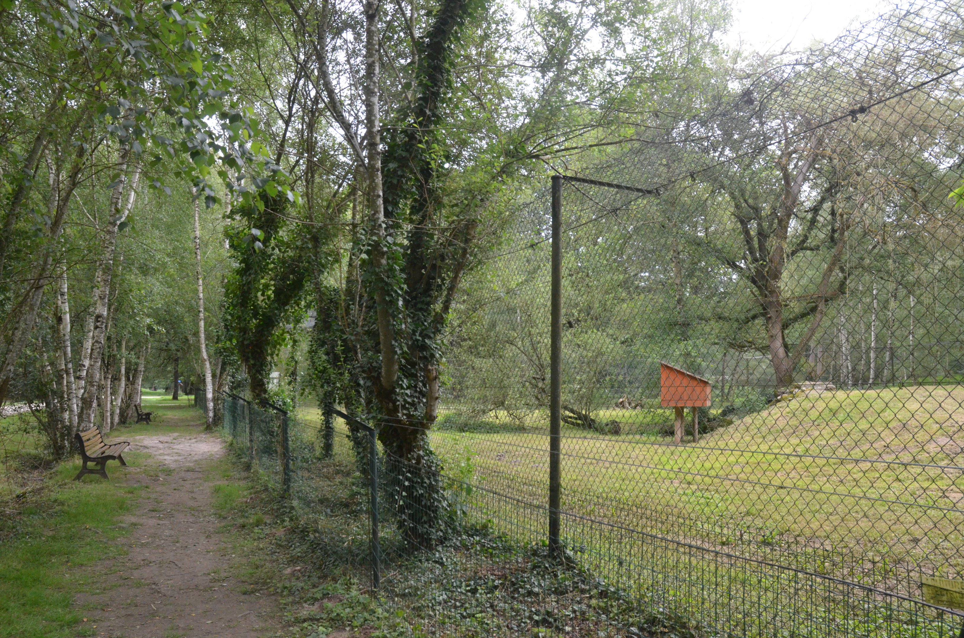 Northern Lynx Enclosure at Haute-Touche, 14/06/18