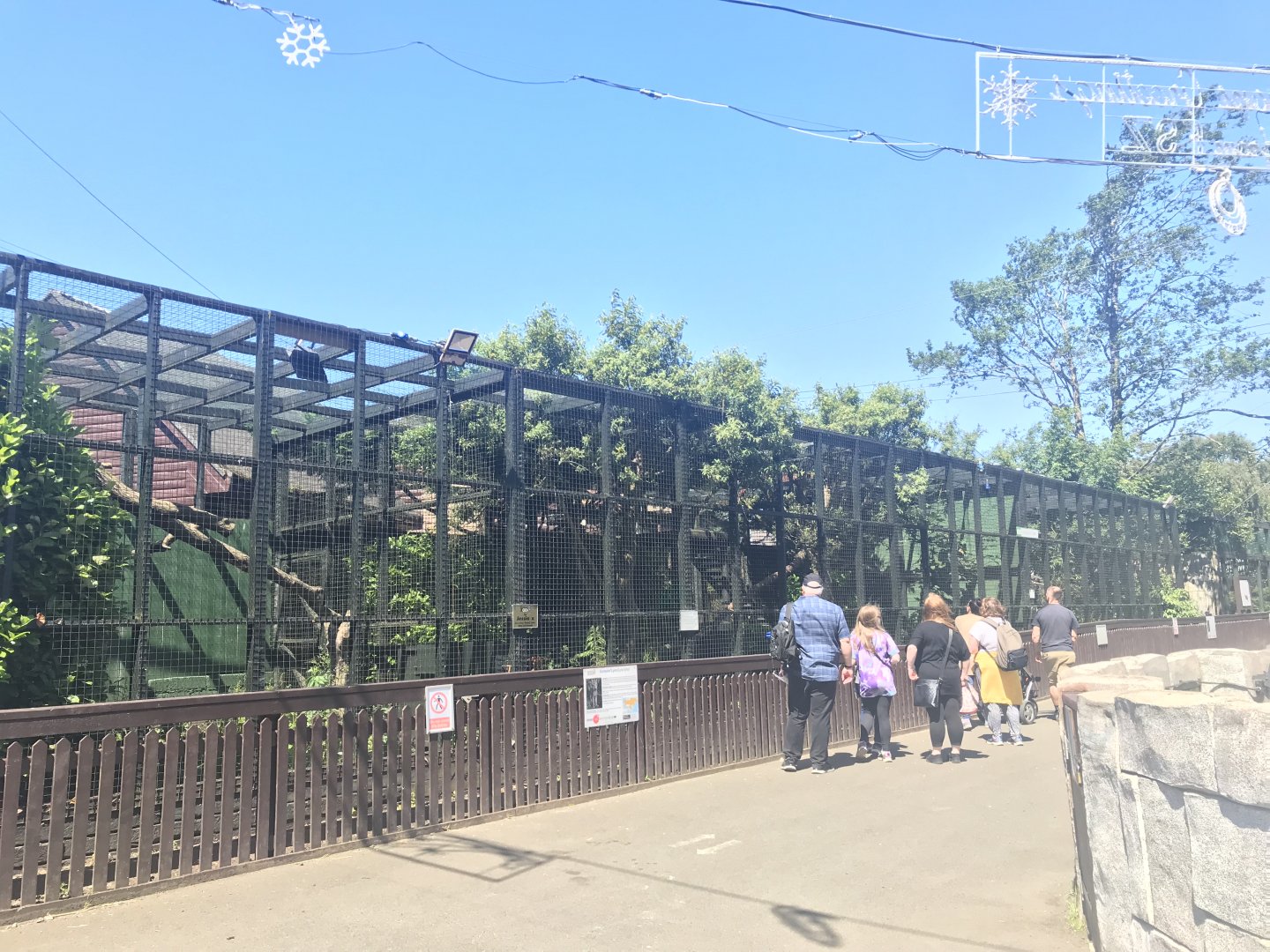 Northern lynx enclosure