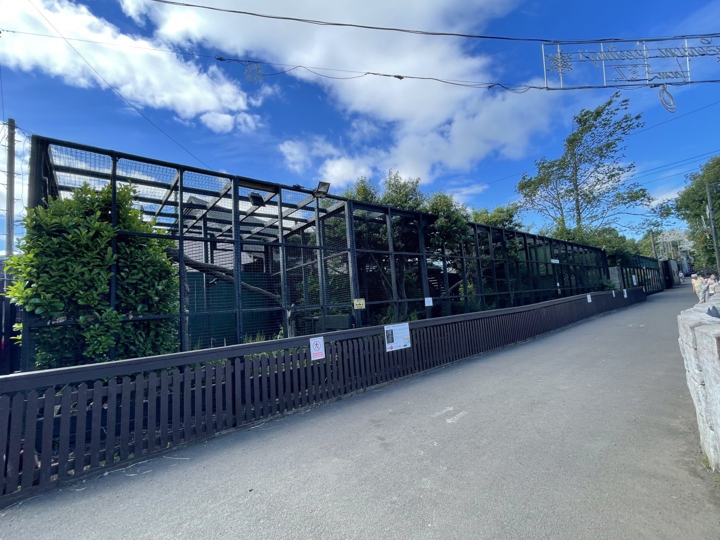 Northern lynx enclosure