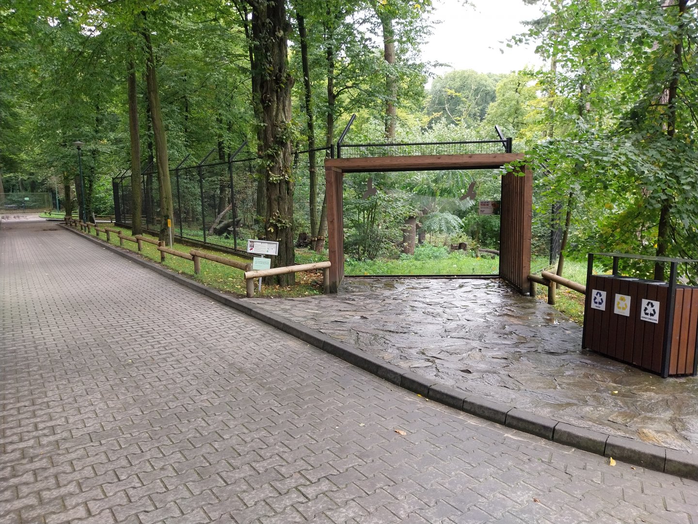 Northern lynx enclosure