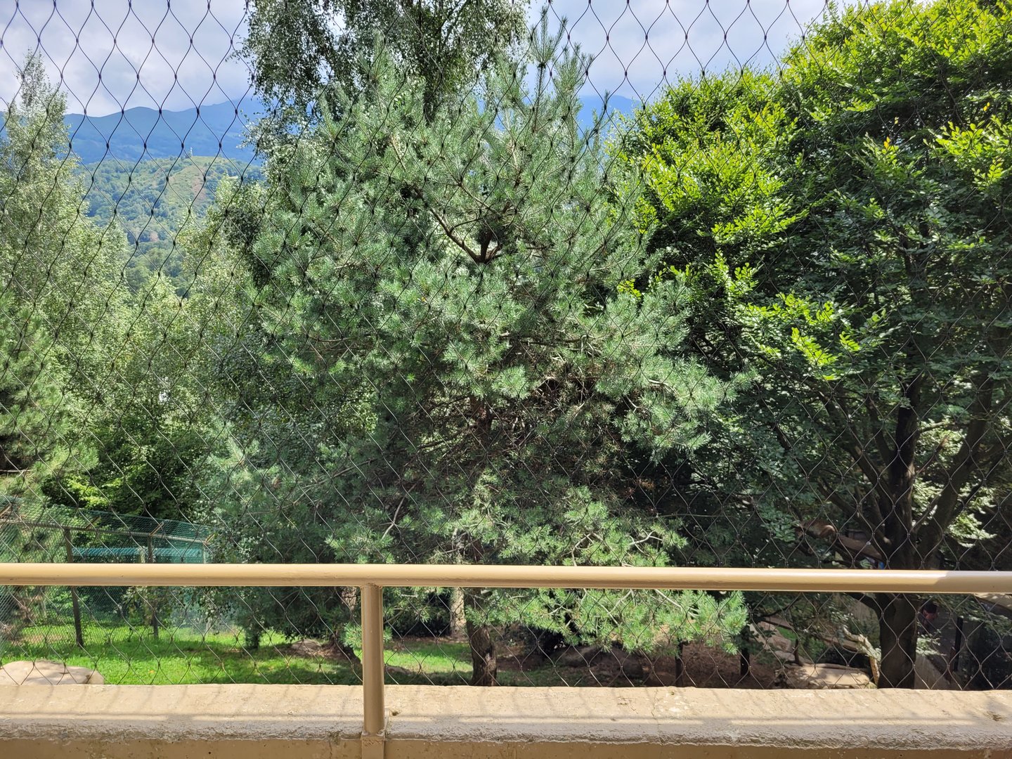 Northern lynx exhibit -Parc Animalier des Pyrénées (2023)