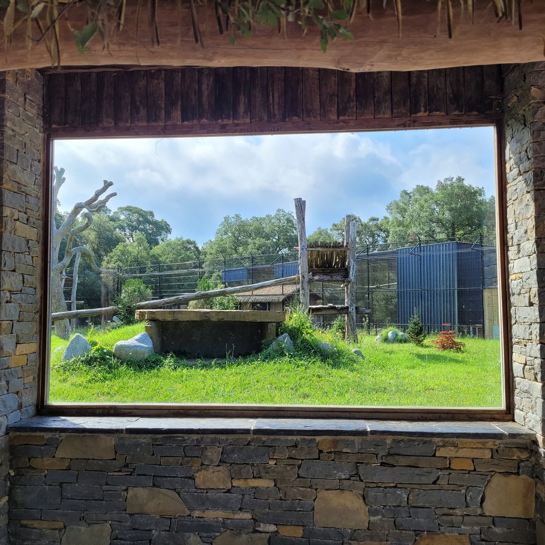 Northern lynx exhibit -Zoo de Labenne (2023)