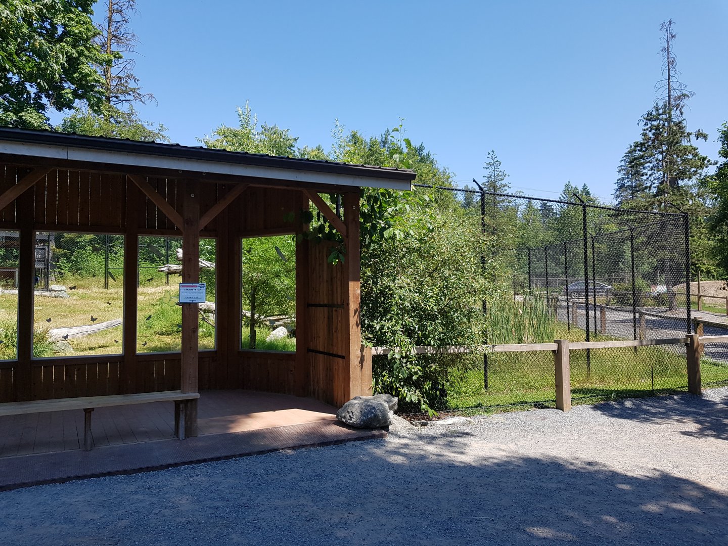 Northern Lynx Exhibit