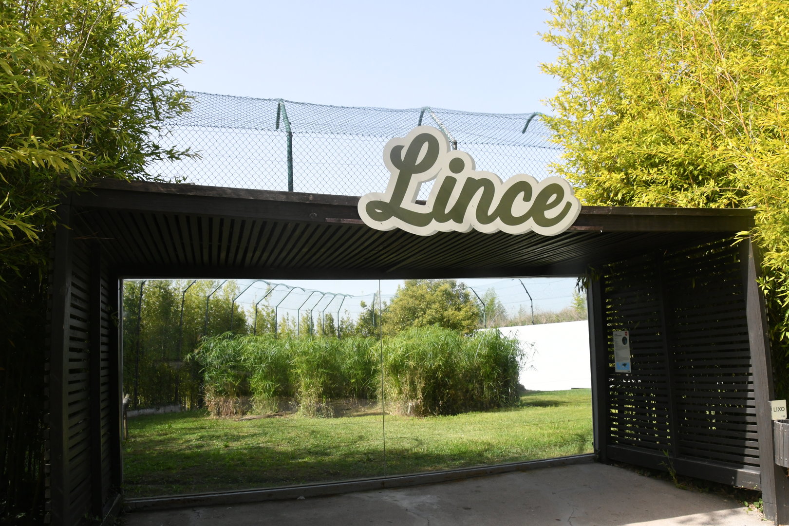 Northern Lynx exhibit
