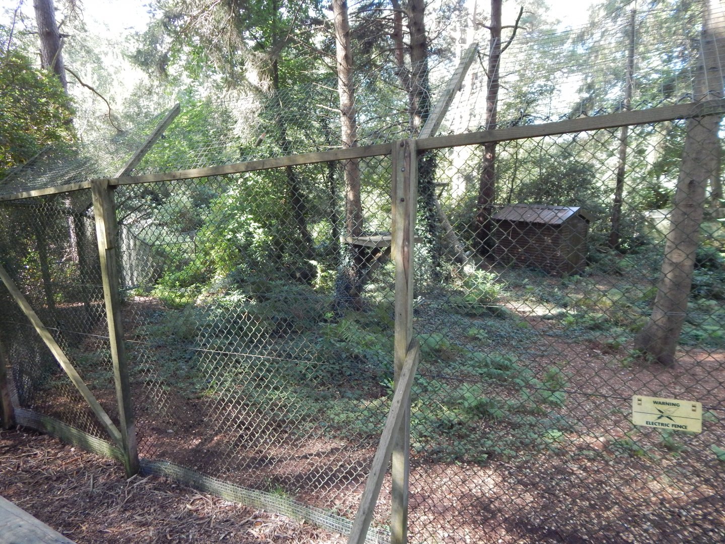 Northern lynx habitat 130924