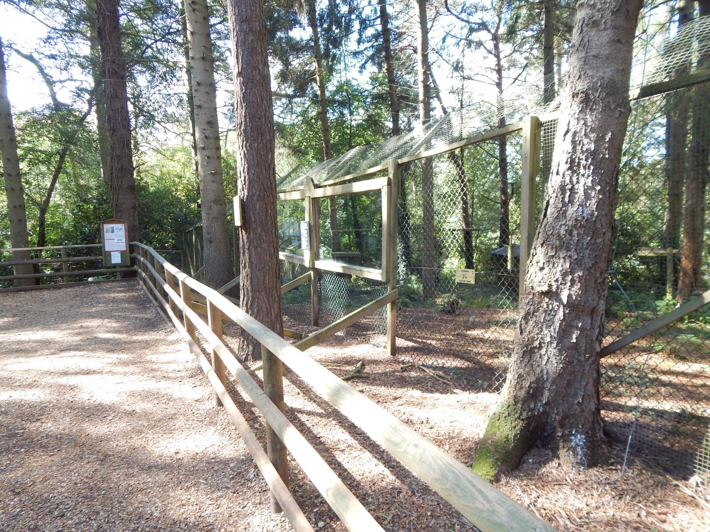 Northern lynx habitat 130924