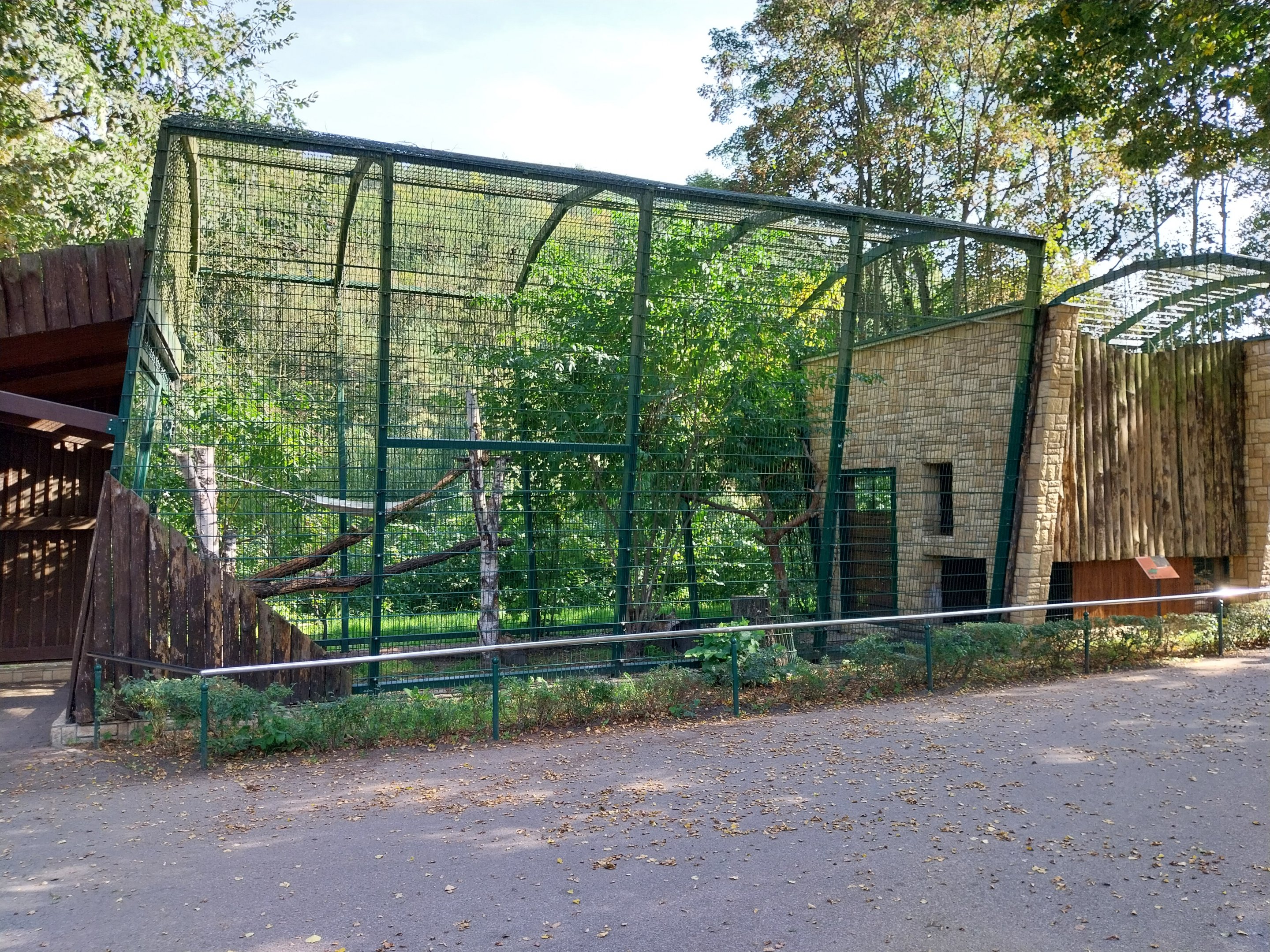 Northern Lynx (Lynx lynx lynx) enclosures