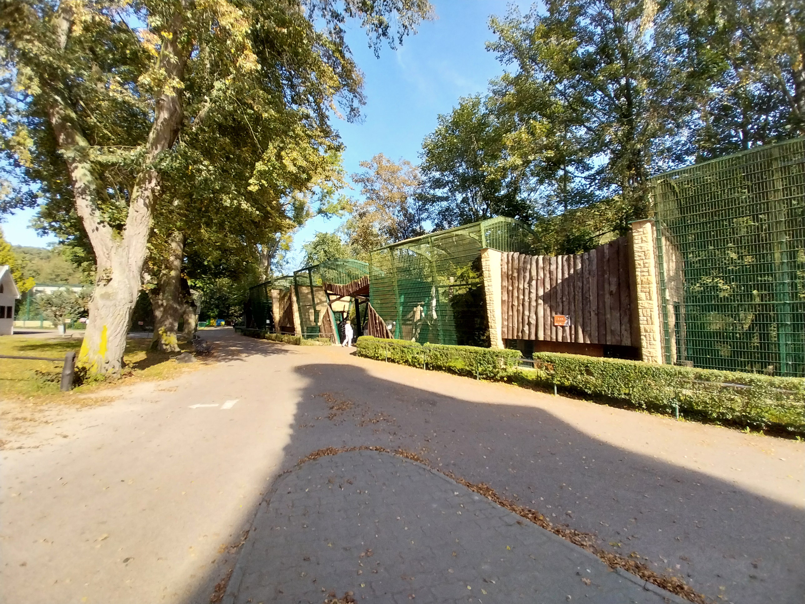 Northern Lynx (Lynx lynx lynx) enclosures
