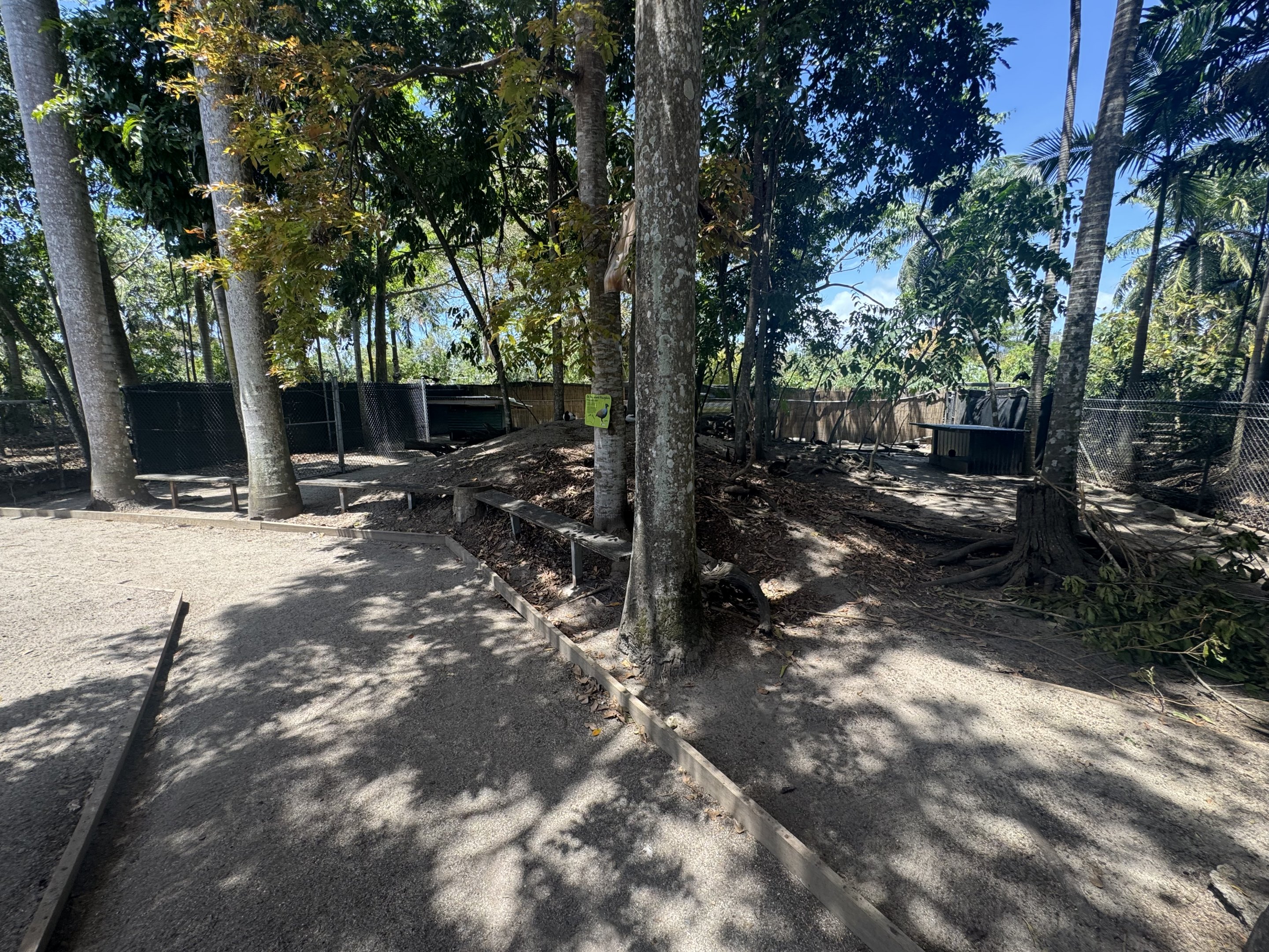 Northern Nailtail Wallaby enclosure