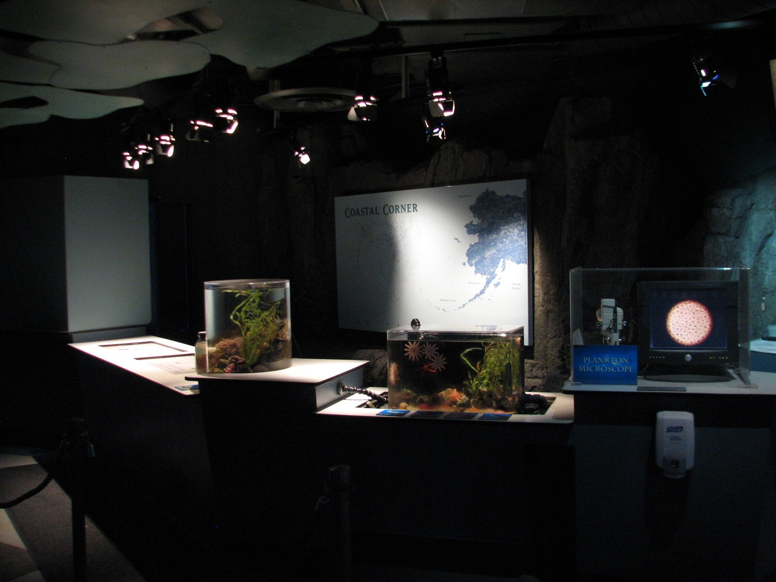 Northern Pacific Gallery - Coastal Corner Discovery Lab