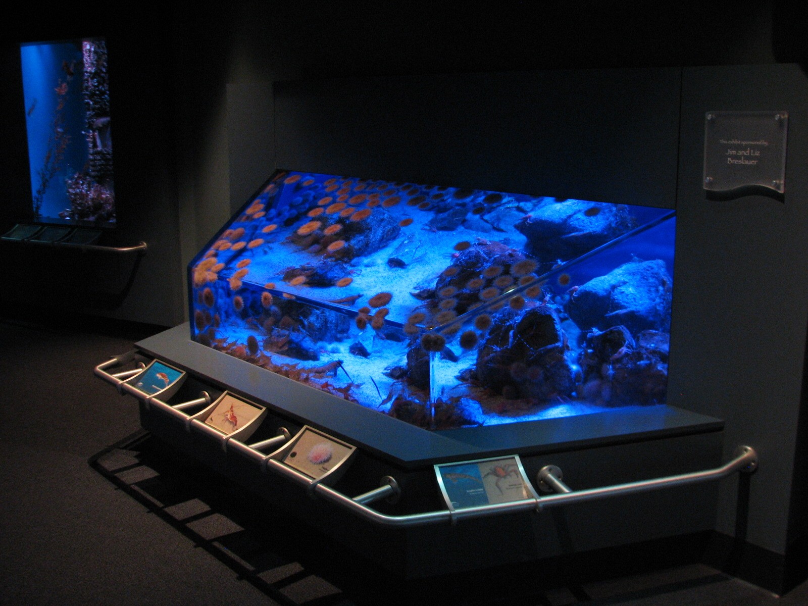 Northern Pacific Gallery - Sandy Bottom Exhibit