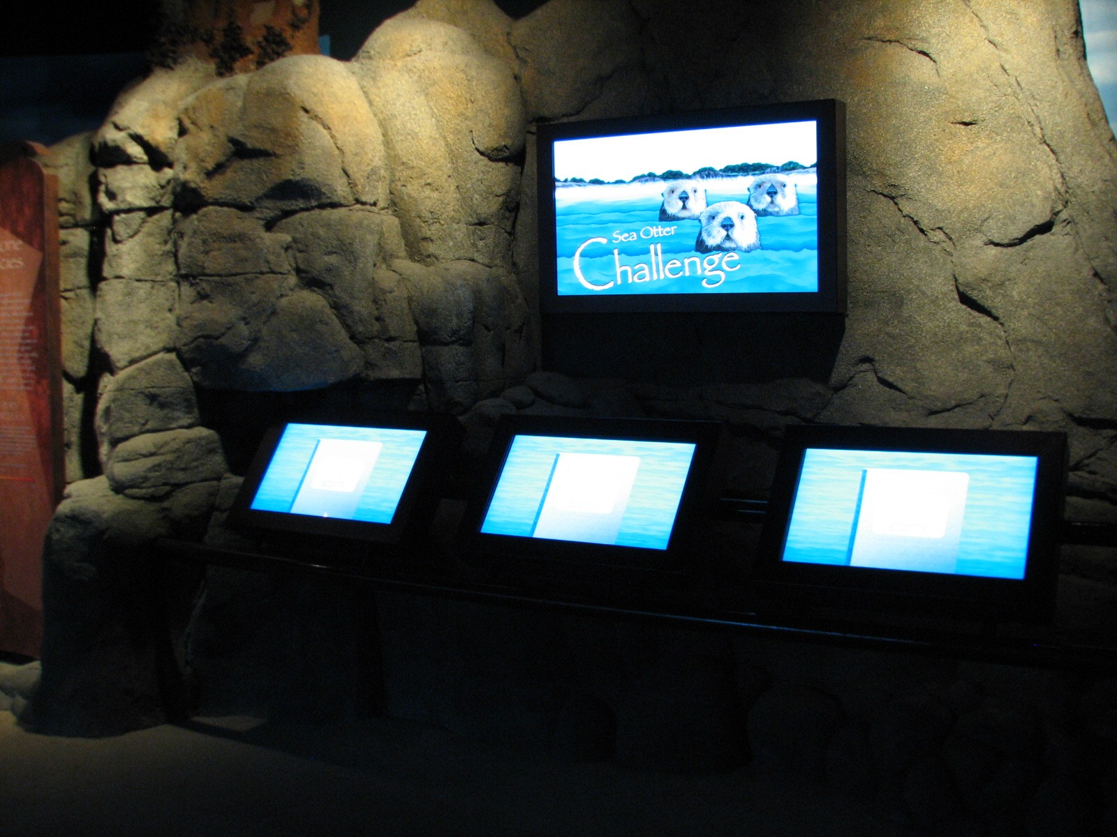 Northern Pacific Gallery - Sea Otter Challenge Kiosk