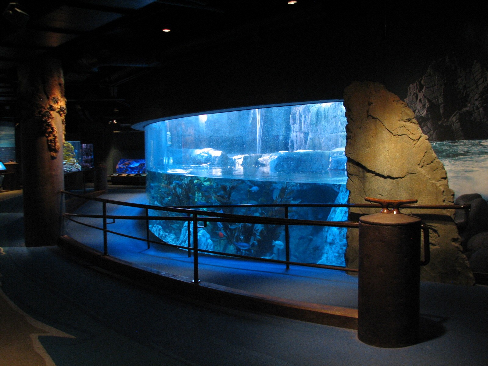 Northern Pacific Gallery - Sea Otter Exhibit Viewing Area