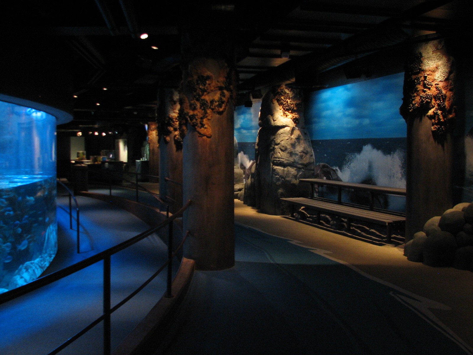 Northern Pacific Gallery - Sea Otter Exhibit Viewing Area