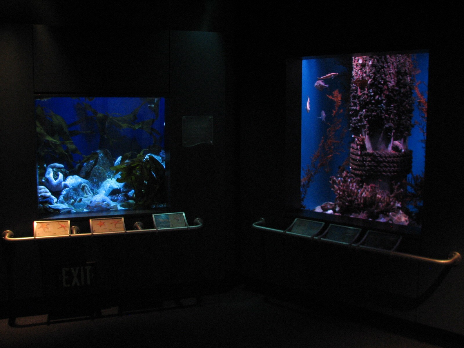 Northern Pacific Gallery - Sea Star and Bays and Sounds Exhibits