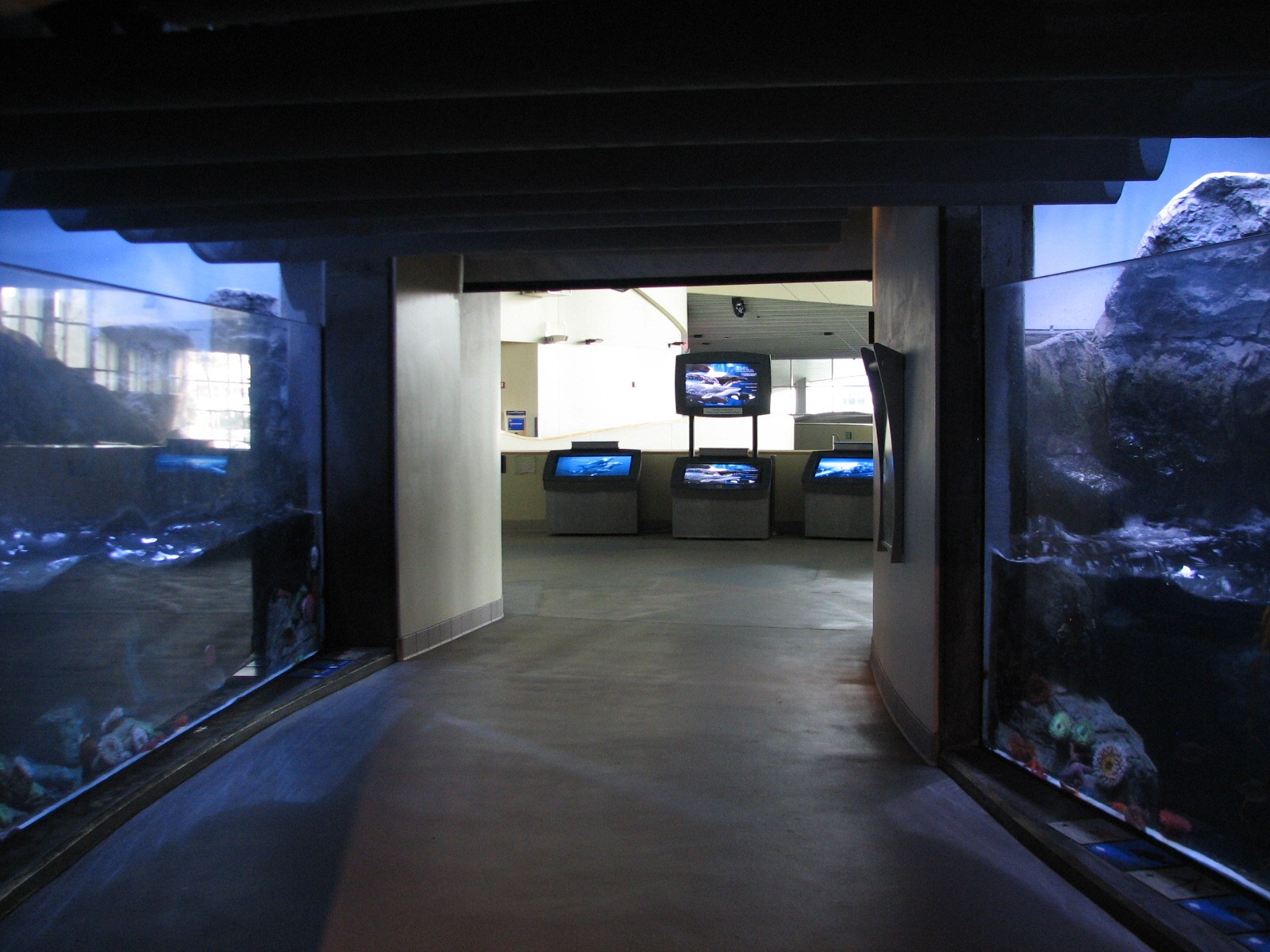 Northern Pacific Gallery - Surge Channel Exhibit